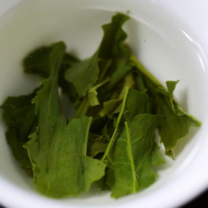 Baisa Nakamura: Kirishima Sencha Asanoka (Single Cultivar)