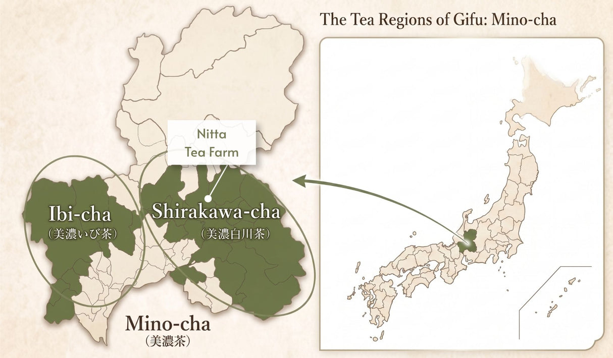 PREORDER available in late June🍵 2026   #1055.G1 Nitta Tea Farm: Imperial Sencha