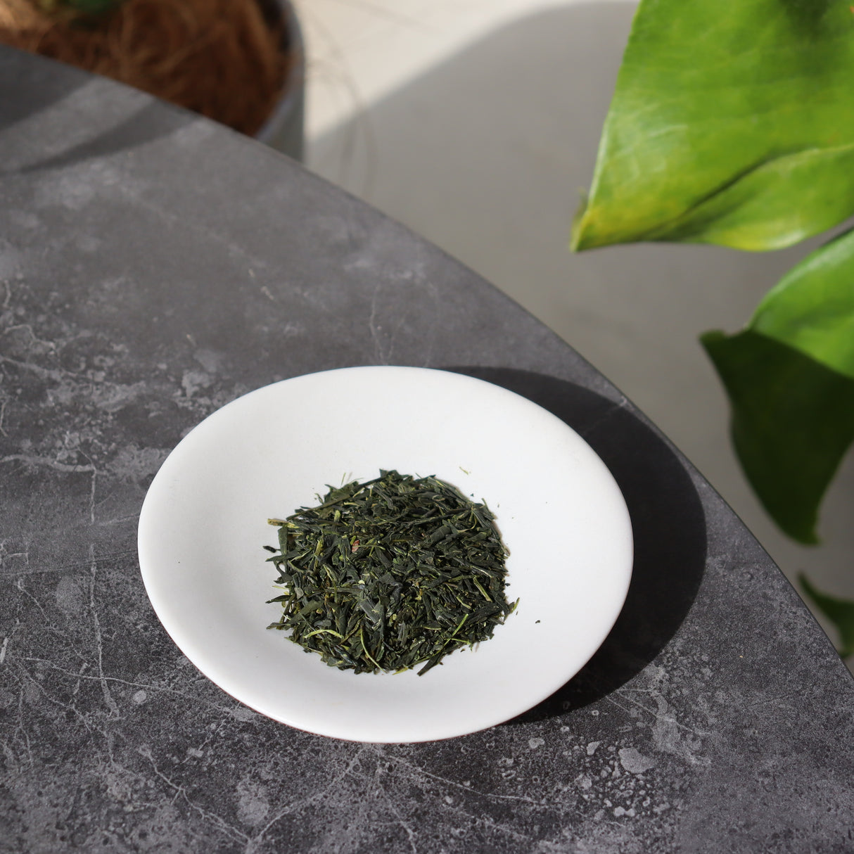 Uejima-teetila: Hoshun Sencha -lajike Wazukasta, Kiotosta