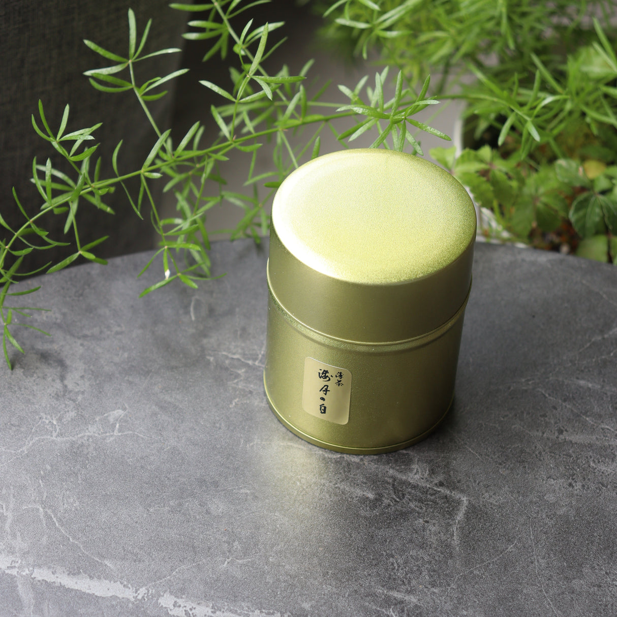 #0871.S5 Chikumeido: Usucha Matcha Kaigetsu no Shiro 抹茶【海月の白】