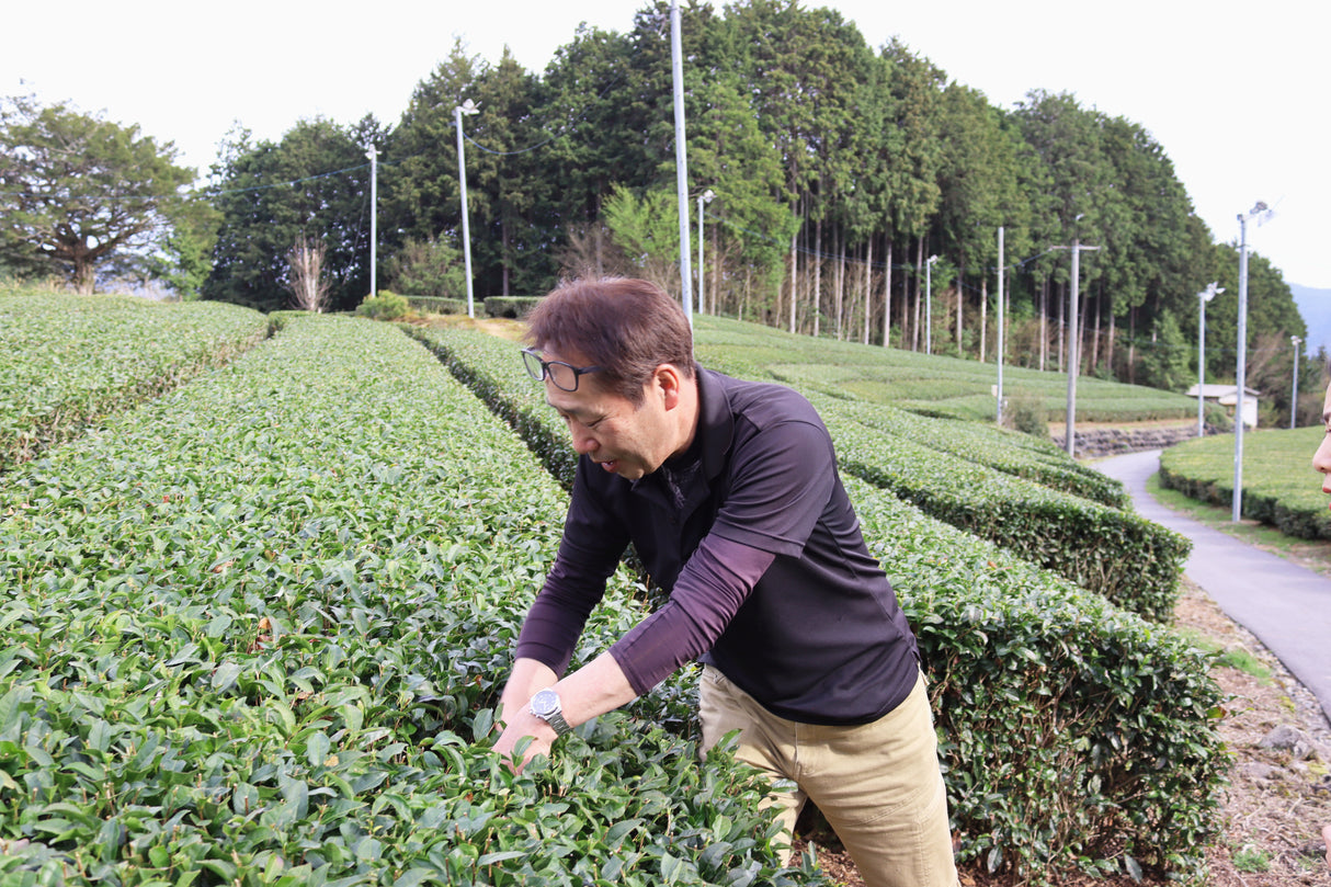 PREORDER available in late June🍵 2026   #1055.G1 Nitta Tea Farm: Imperial Sencha
