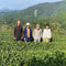 NaturaliTea
