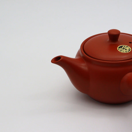 (Last one unit) Isobe Ceramics : Tokoname Kyusu 360 ml - strainer size : 66mm yunomi.life