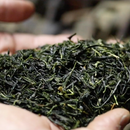 Obubu KY030: Needle Oolong ナチュラル・ニードル烏龍茶