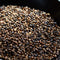 Nabeshima Hida Mugicha Barely Tea