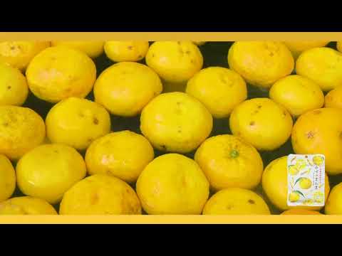 #9003 Kakuya Foods:  Yuzu no Manma 柚子のまんま（おつまみ柚子）