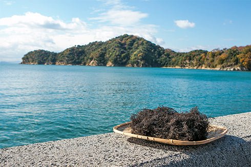 Amabito no Moshio Gourmet Seaweed Salt by Kamagari Bussan - Yunomi.life