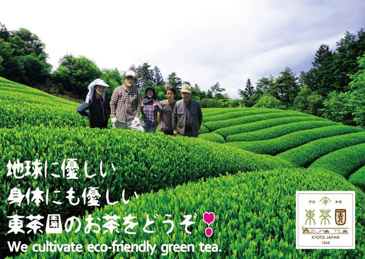 Azuma Tea Garden: "Samidori no Ka" Matcha Cultivar Series Samidori, Standard Ceremonial Grade 早緑の馨 - Yunomi.life