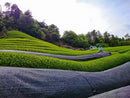 Azuma Tea Garden: "Wazuka no mukashi" Matcha Cultivar Series Gokou, Standard Ceremonial Grade 和束の昔 - Yunomi.life