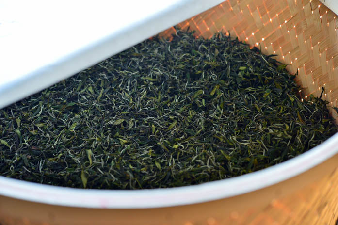 Bizenya: #05 Haru - Handpicked Sayamacha White Tea, Fukumidori Cultivar 狭山白茶 白瑠（Haru）