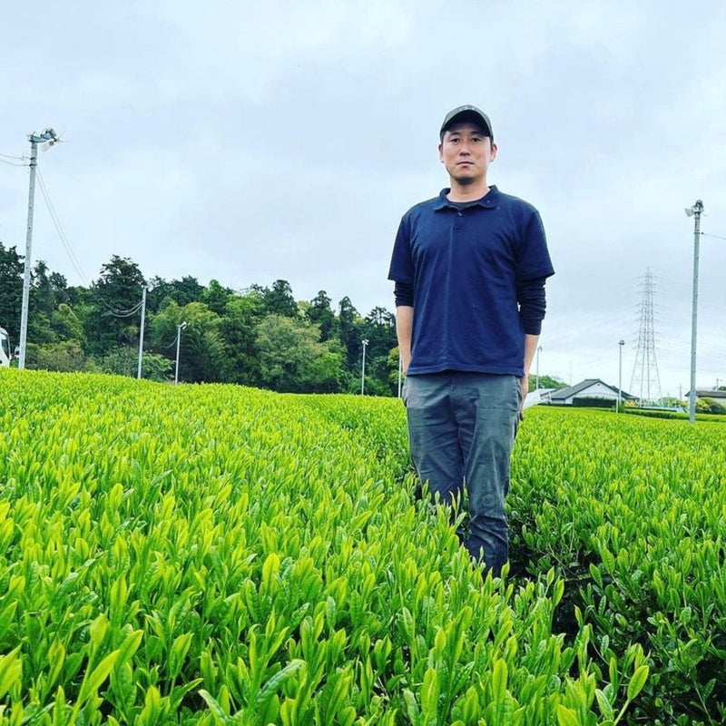 Shuchi Tea Garden: Fukamushicha Green Tea, Kirari 31 Single Cultivar, Nihoncha Awards Platinum Medal Winner, Refined by Osada Tea