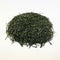 Kaneta Ota Tea Garden: Micro batch 2023 Sencha, Single Cultivar Yume Suruga
