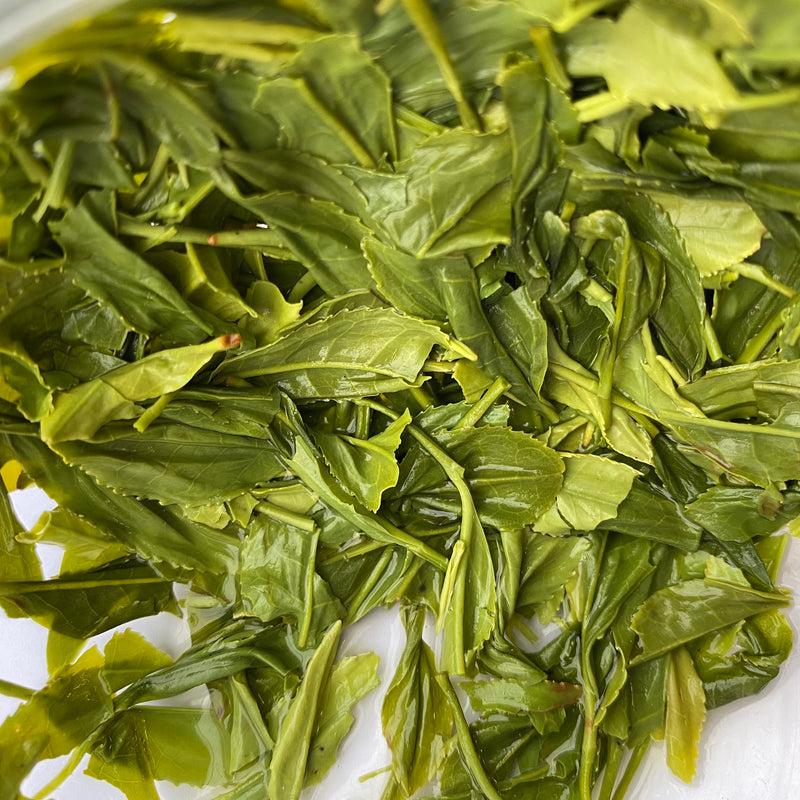 Kanes Tea: April 2023 Kanaya Shuho 金谷秀峰, Limited Handrolled First Flush Asamushicha