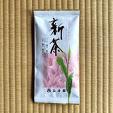 Seikoen Tea Factory No. 10: 2023 Shincha Saemidori Fukamushicha (Kagoshima) - Premium