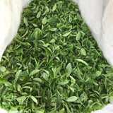 Tanegashima Island Shoju (micro batch, limited) - Single Cultivar Sencha - Iba Takahiro Tea Garden