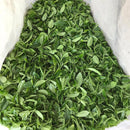 Iba Takahiro Tea Garden: Tanegashima Single Cultivar Sencha - Shoju (micro batch, limited)