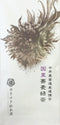 Kaneroku Matsumoto Tea Garden: Sobacha green tea 蕎麦緑茶ティーバッグ - Yunomi.life