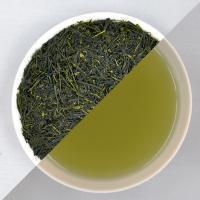 Kanes Tea: 2022 Hatsutsumi (Kawaneji) Fukamushi Spring Sencha 川根路/初摘み - Yunomi.life
