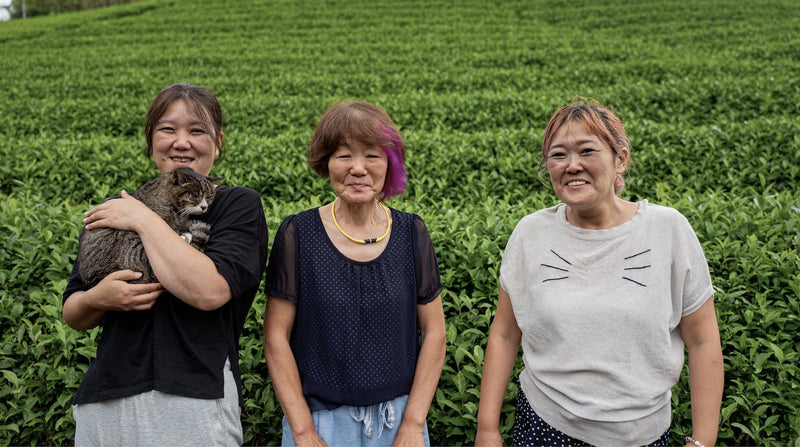 Kiroku Tea Garden: Single Cultivar Okumidori Matcha from Wazuka, Kyoto - Yunomi.life