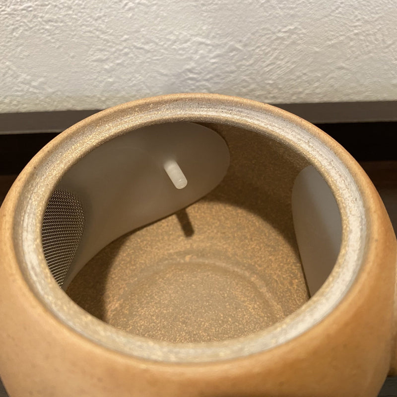 Koizumi: Tokoname Removable Mesh Kyusu Tea Pot, 3-91 - Yunomi.life
