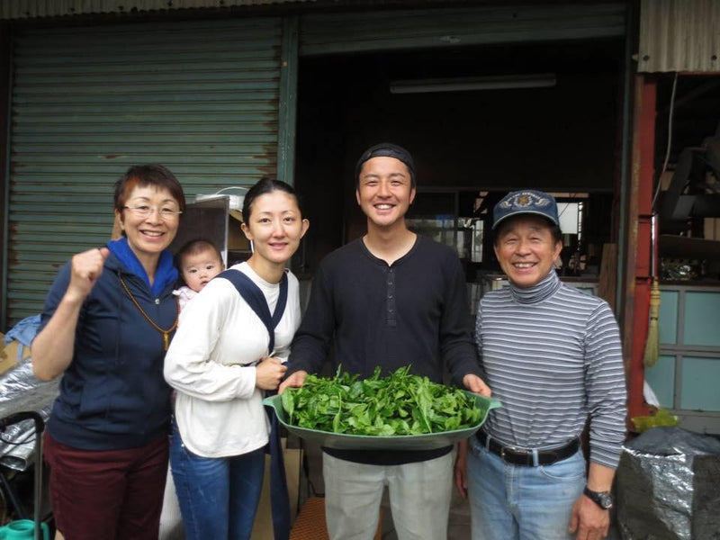 KU007 Tomizawa Tea Garden: Gyokuro Tamaryokucha from Mashiki, Kumamoto - "Green Tea.Lab" 玉露 - Yunomi.life