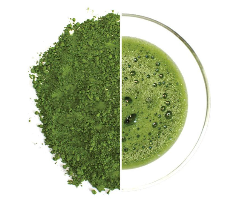 Obubu Matcha: Uji Hikari Cultivar (25g) from Wazuka, Kyoto. - Yunomi.life