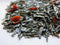 Ocharaka: Prune (Sumomo) flavored green tea 40g - Yunomi.life