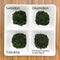 Shogyokuen: Tencha Green Tea Leaves, 4-level Sampler Set - Yunomi.life