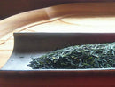 Kuma Tea Garden FK034: Yamecha Sencha Tsuyuhikari
