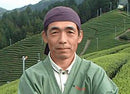 Uejima Tea Farm: Uji Kyotanabe Premium Gyokuro 京都宇治特上玉露京田辺 - Yunomi.life