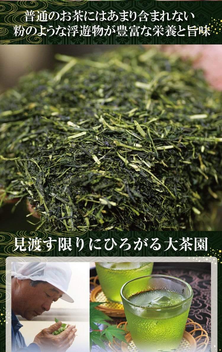 Wakoen Tea Farm: 2022 Kagoshima Fukamushicha - Yoh 和香園 深蒸し茶 陽 - Yunomi.life