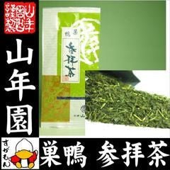 Yamane-en: Kakegawa Fukamushi Premium, Tea Blessing 特選 参拝茶 - Yunomi.life