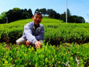 Zenkouen Tea Garden: