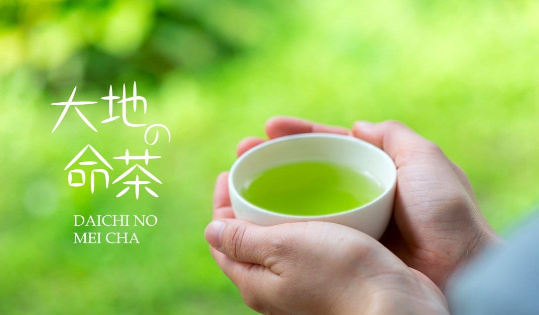 Zenkouen Tea Garden #03: 2022 Daichi no Meicha - Single Cultivar Kanaya Midori Shizuoka Sencha (JAS Organic) 大地の銘茶、かなやみどり - Yunomi.life