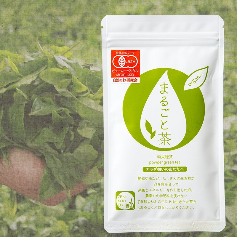 Zenkouen Tea Garden: